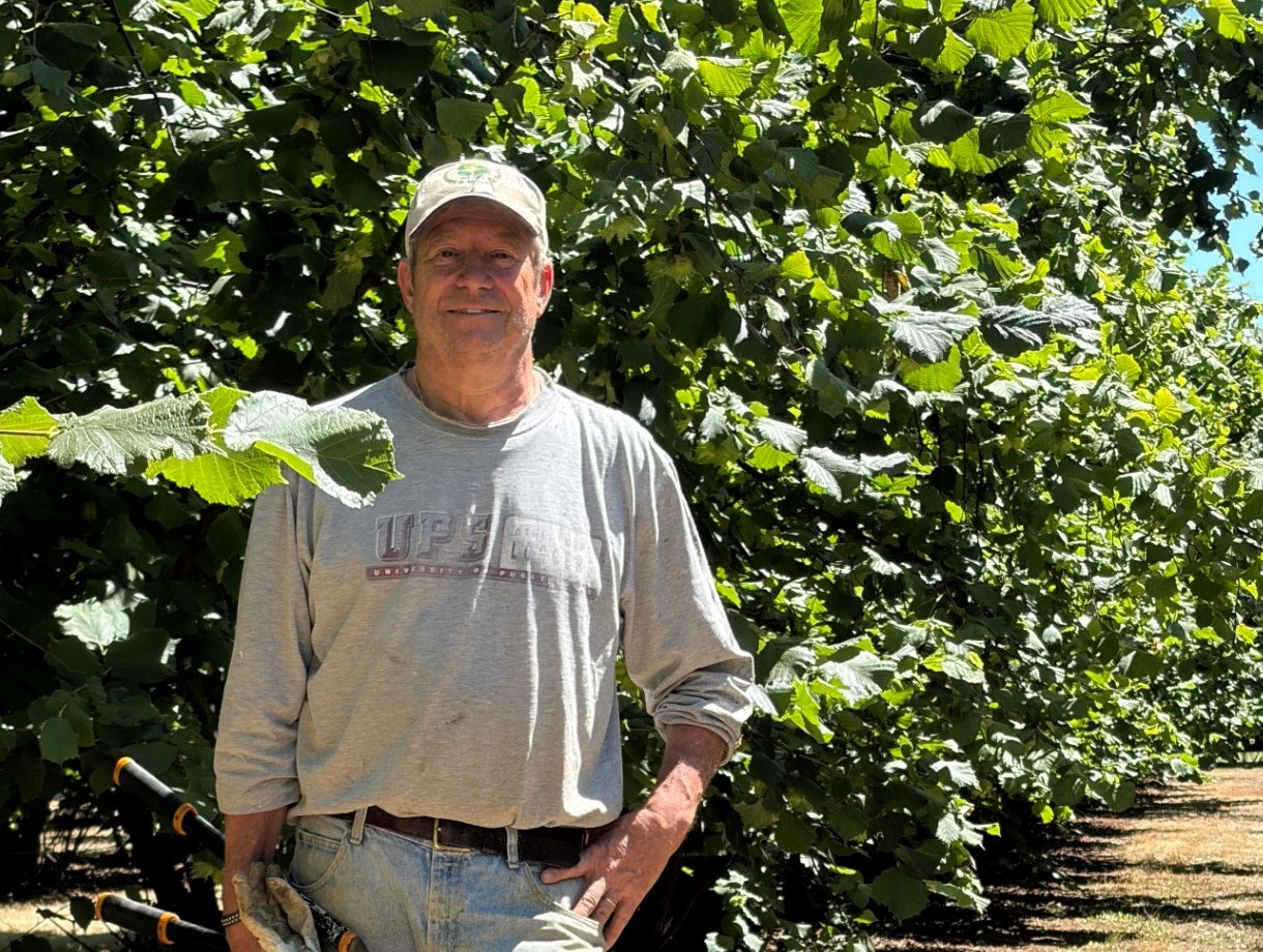 Michael Orth in an Oregon hazelnut orchard